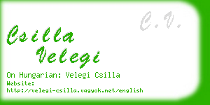 csilla velegi business card